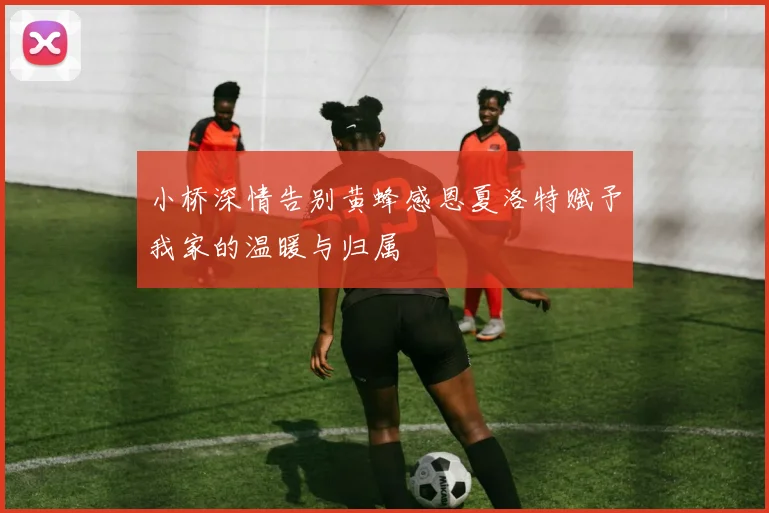 小桥深情告别黄蜂感恩夏洛特赋予我家的温暖与归属