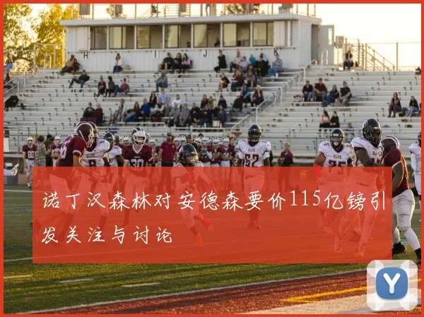 诺丁汉森林对安德森要价115亿镑引发关注与讨论